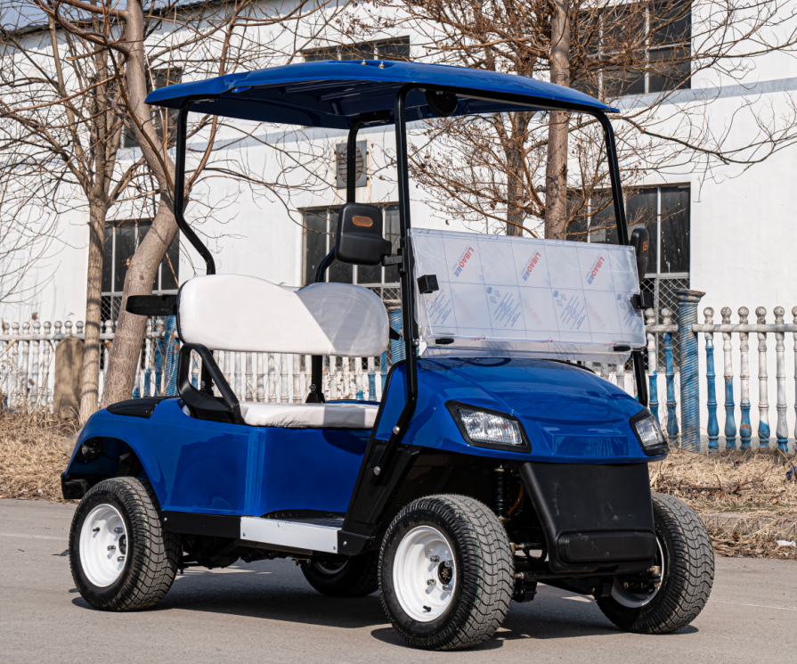 Hot Sale Electric Off Road Gol - Golf Equipment Sales 리뷰 및 가격