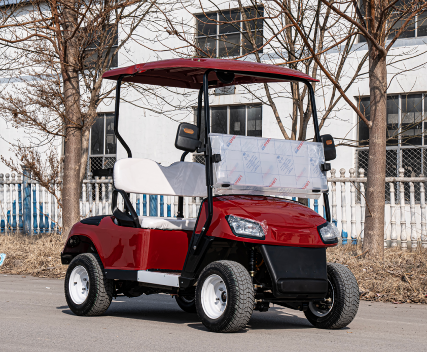 Hot Sale Electric Off Road Gol - Golf Equipment Sales 리뷰 및 가격